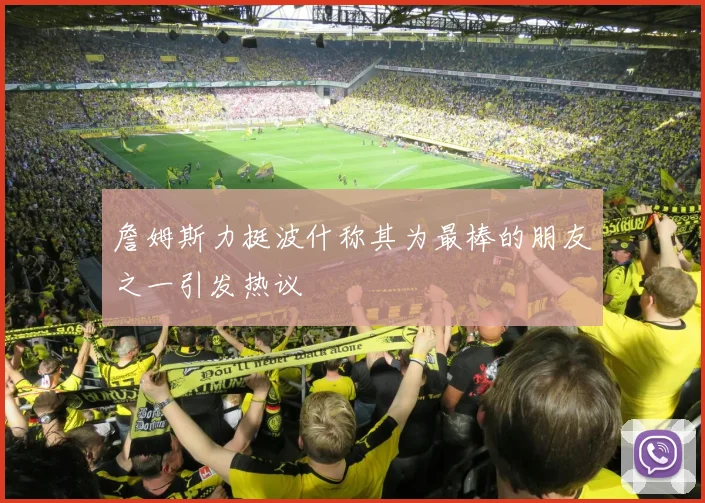 詹姆斯力挺波什称其为最棒的朋友之一引发热议