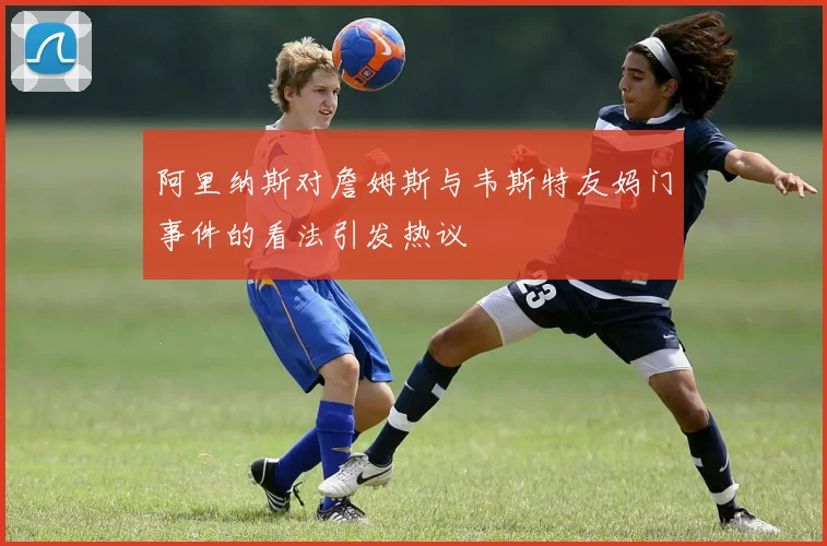 阿里纳斯对詹姆斯与韦斯特友妈门事件的看法引发热议