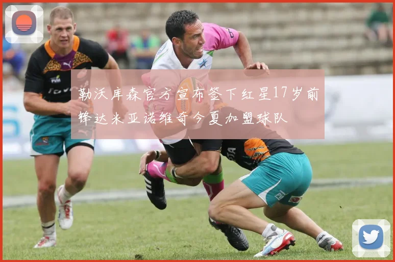 勒沃库森官方宣布签下红星17岁前锋达米亚诺维奇今夏加盟球队