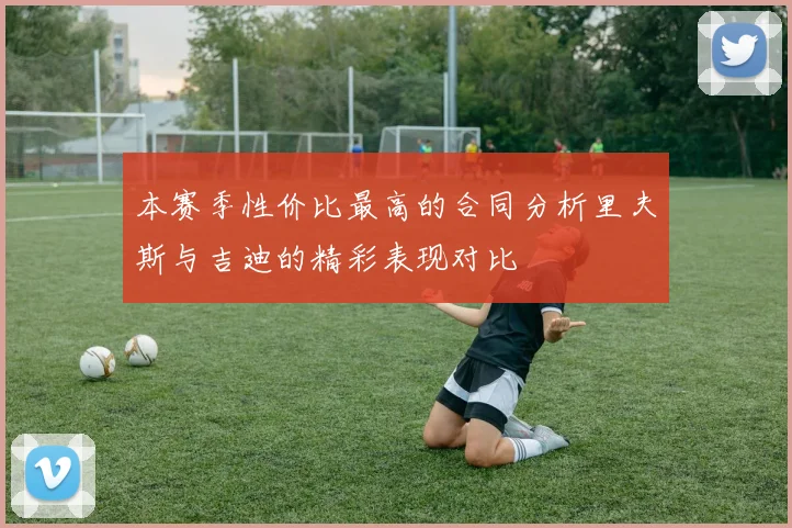 本赛季性价比最高的合同分析里夫斯与吉迪的精彩表现对比