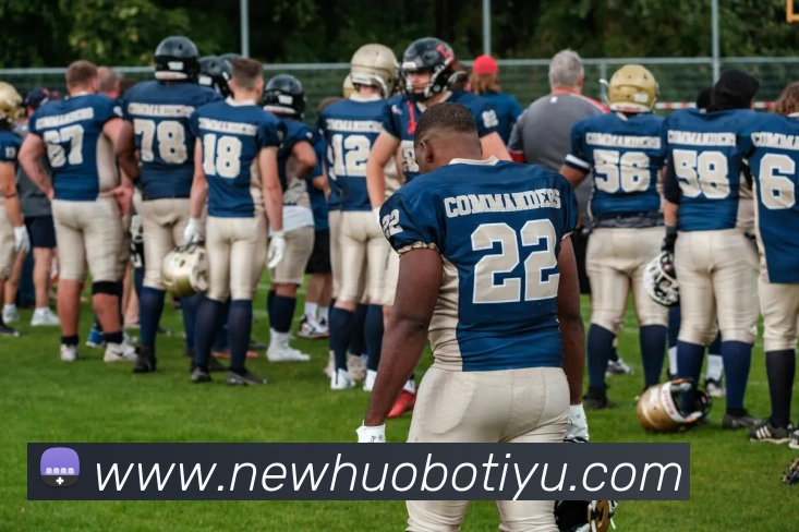 火博体育平台生态图